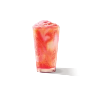 apple cranberry frozen lemonade